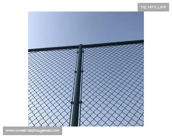 网球体能训练新规出台 强化预防运动伤害助力运动员健康成长 网球体能训练新规出台 强化预防运动伤害助力运动员健康成长