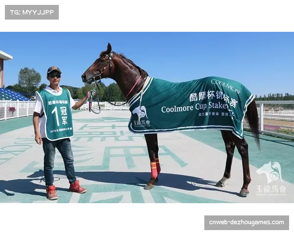 新疆台球公开赛哈密站即将开幕,冠军奖金3万元